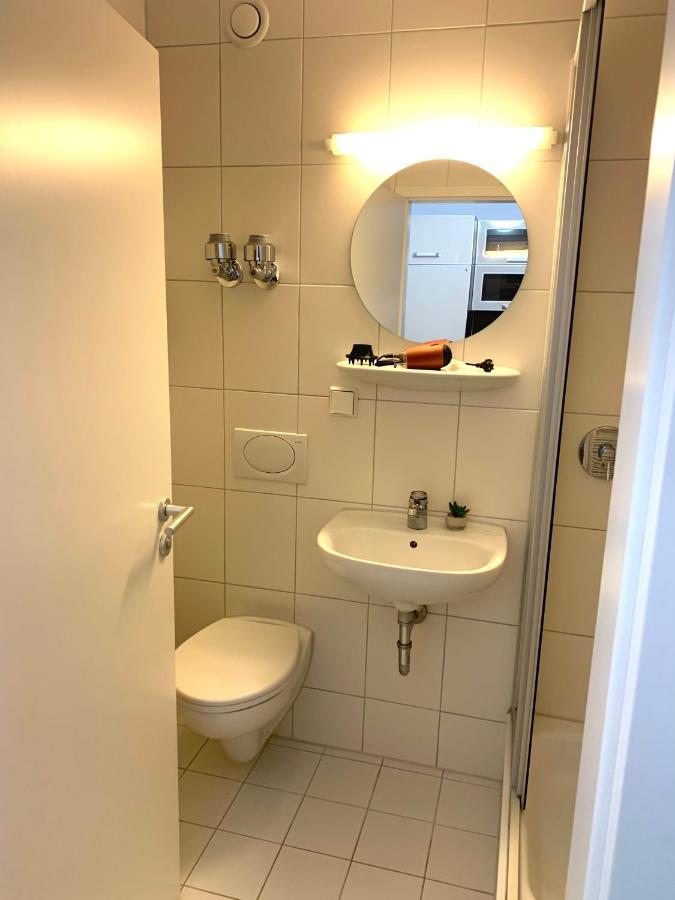 Beautiful Premium Apartment, Near University , Wifi , Free Parking Ratisbona Exterior foto